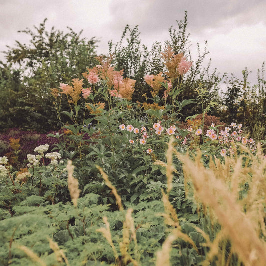 Cultivating Connection With The Plants