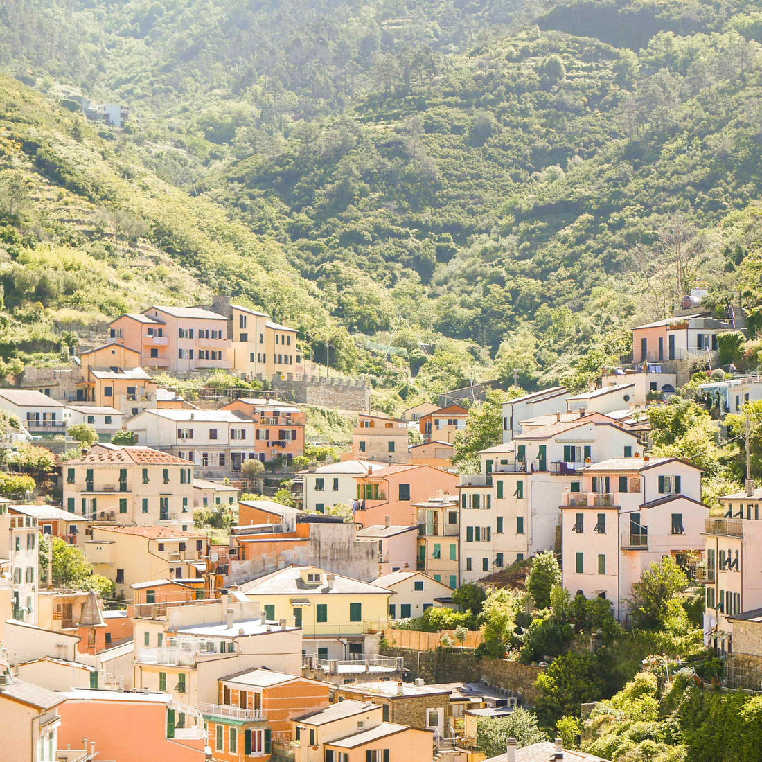 An Italian hill town with terracotta and ochre colored houses against a green landscape