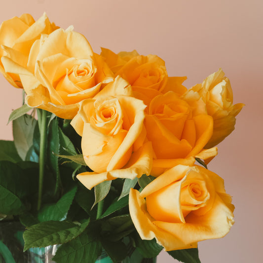 A bouquet of yellow roses against a mauve background